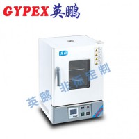 惠州化工廠干燥箱，立式電熱鼓風干燥箱